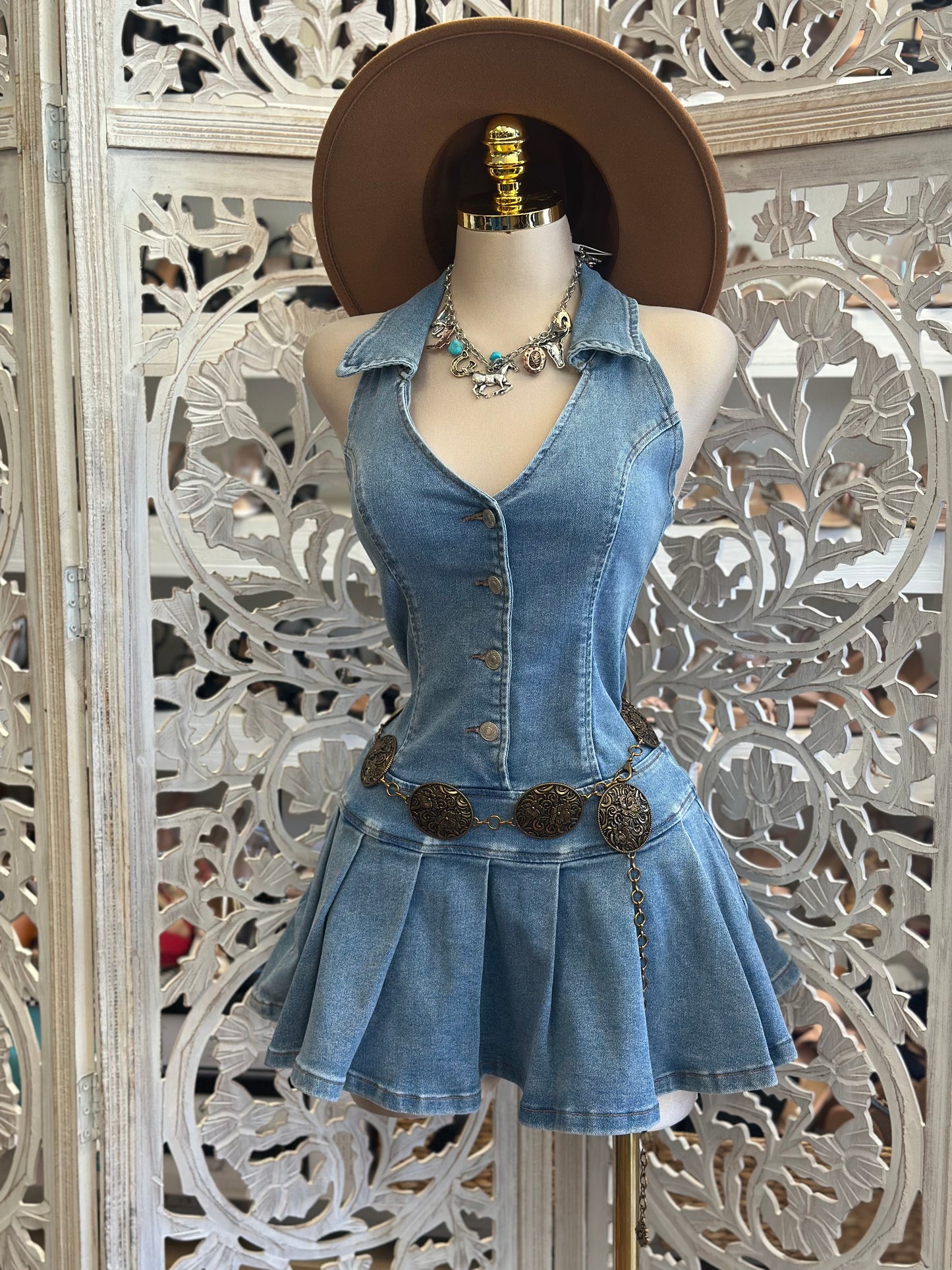 Collard Denim Fit and Flare Dress-Estira, Stretchy