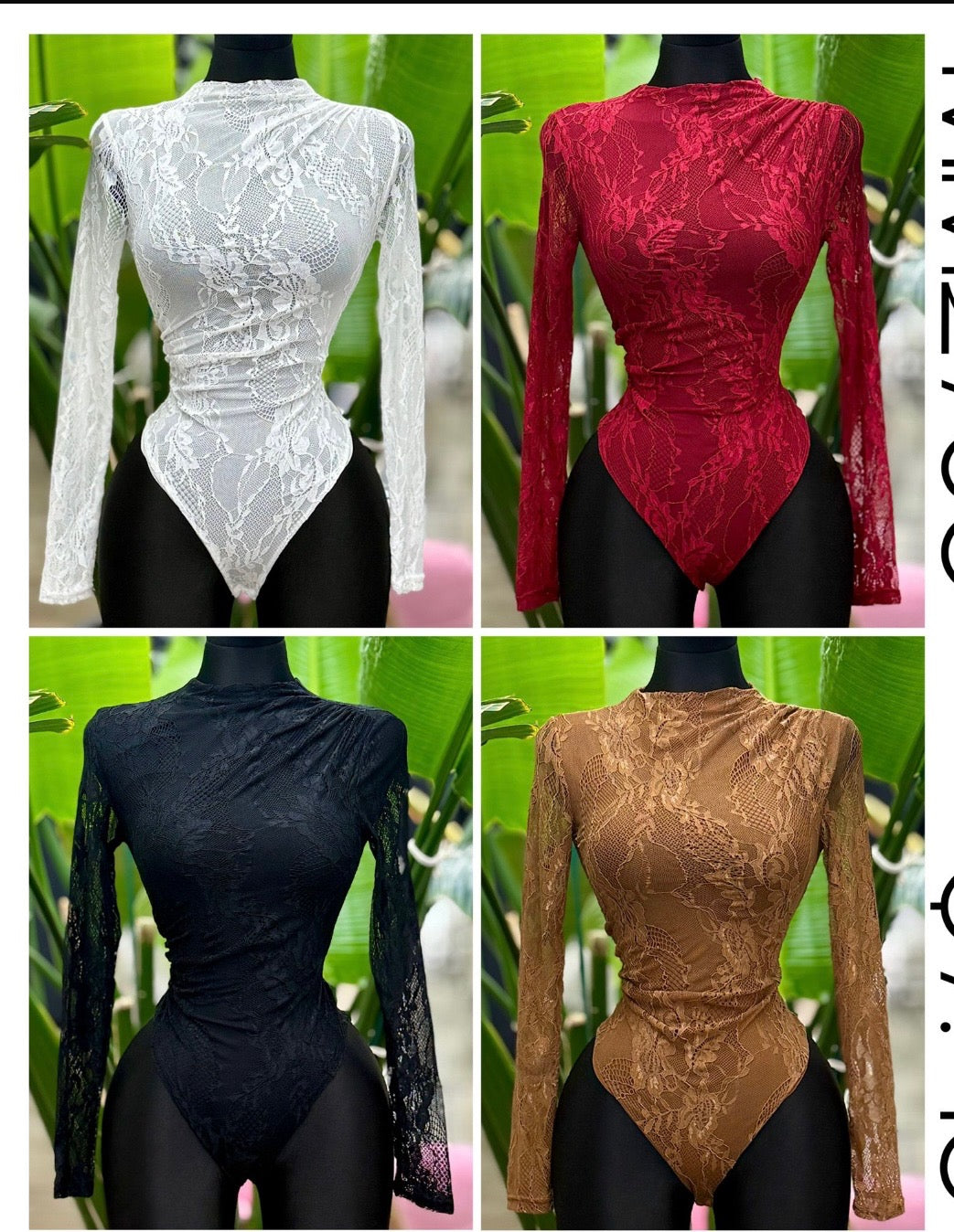 Lace Mesh Bodysuit- Estira, Stretchy